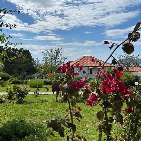 Mari E Monti Apartment Palaiontsiflikion Luaran gambar