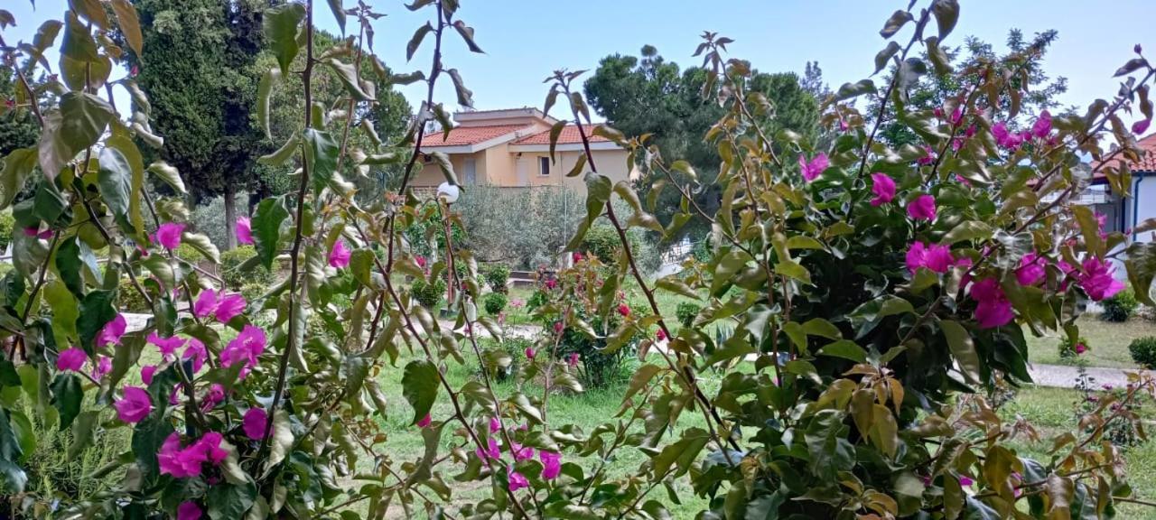 Mari E Monti Apartment Palaiontsiflikion Luaran gambar